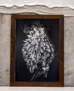 Rahmenkunst, Fotografie
