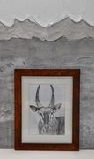Rahmenkunst, fine Art