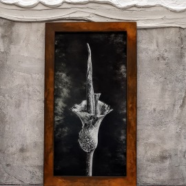Rost Bilderrahmen, Fotoprint, Pflanze