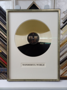 schallplatte einrahmen