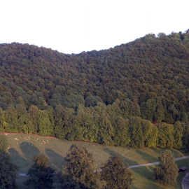 burg teck im sommer, fotografie